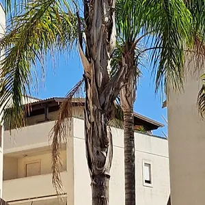 Un Di Casa Appartamento Lecce